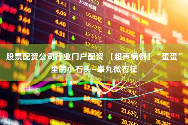 股票配资公司行业门户配资 【超声病例】“蛋蛋”里的小石头—睾丸微石征