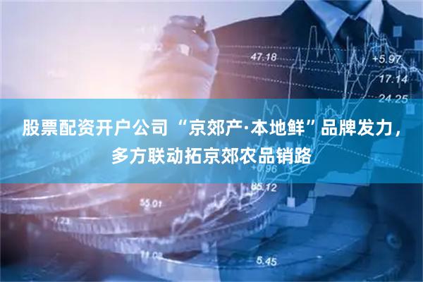 股票配资开户公司 “京郊产·本地鲜”品牌发力，多方联动拓京郊农品销路